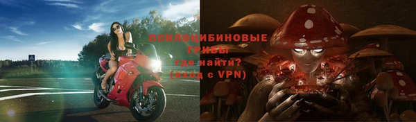 прущие крисы Аркадак